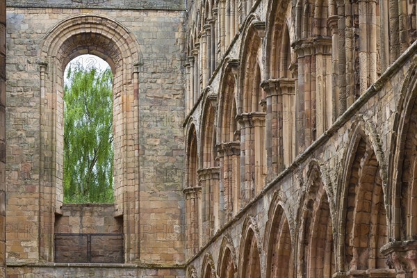 Jedburgh Abbey