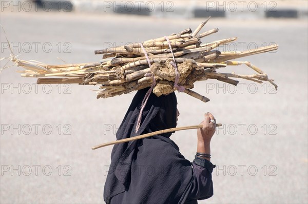 Bedouin woman carrying sugarcane on her head