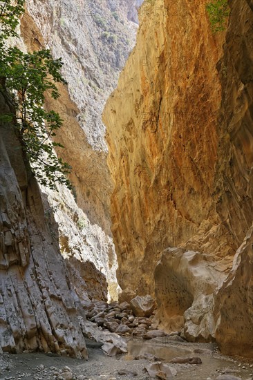 Saklikent Canyon