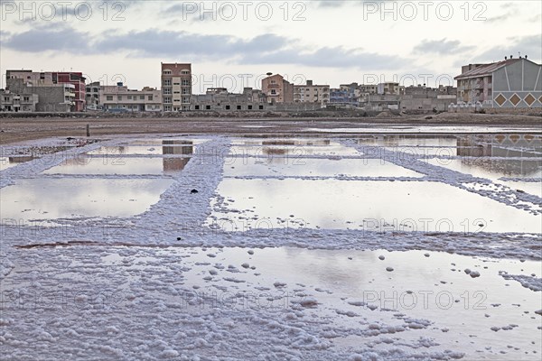 Salt basin in the disused saline