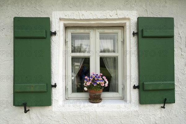 Window with green shutters and a flower pot