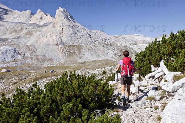 Mountain climber ascending Piz de Lavarela Mountain in the Fanes Group in Fanes-Sennes-Prags Nature Park