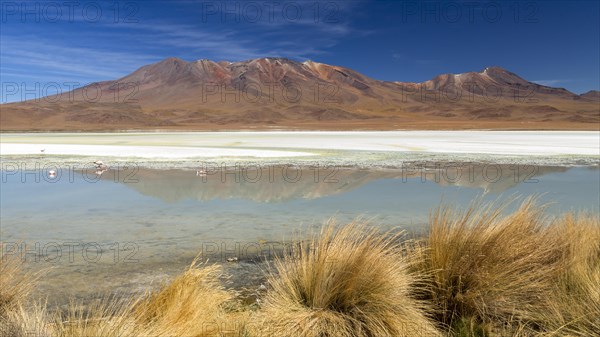 The lake Laguna Hedionda