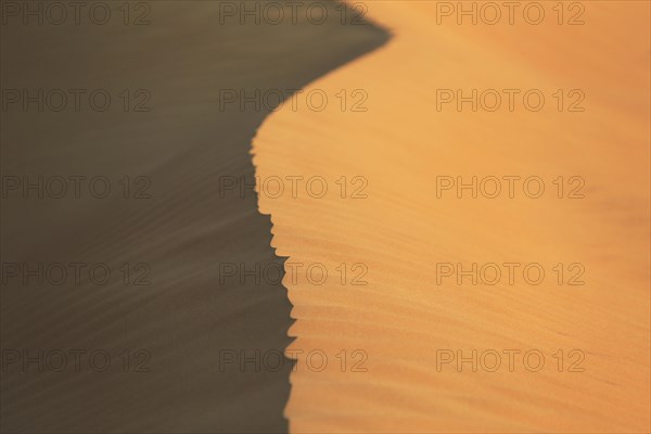 Ridge of a sand dune
