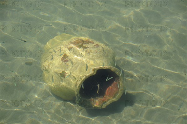 Clay pot lying on the seabed