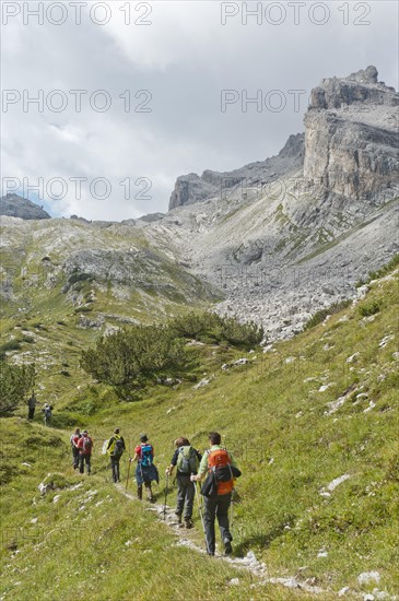 Hikers on a trail