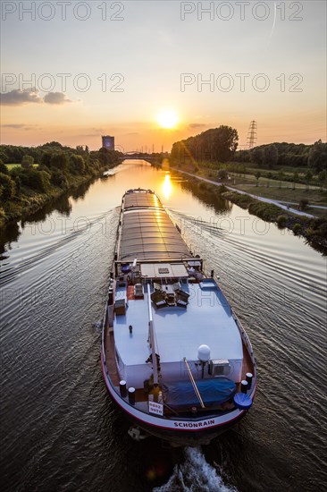 Motor cargo ship MS Schoenrain