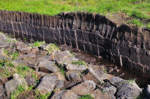 Cut peat in a bog on the Trotternish Peninsula