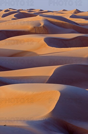 The sand dunes of the Wahiba Sands desert