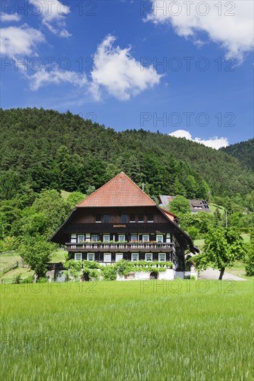 Traditional house in the Gutachtal valley