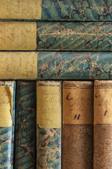 Spines of antiquarian books