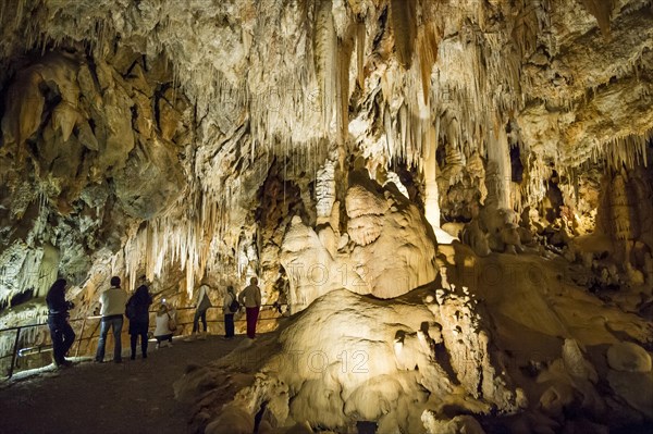 Stalactite cave