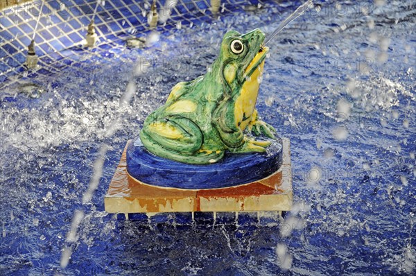 Frog spouting water