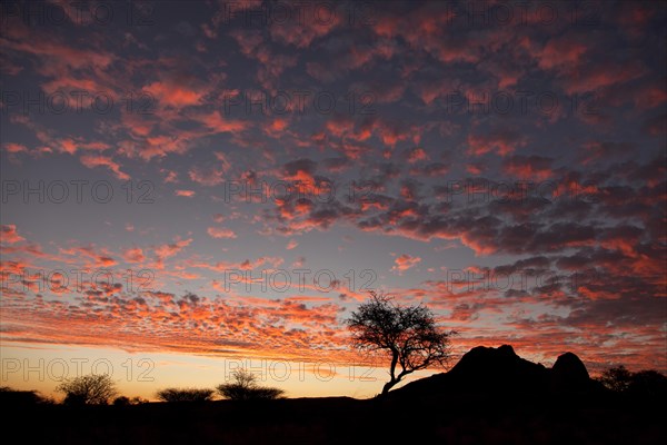 Coloured sunset sky at Spitzkoppe Mountain