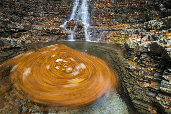 Swirling leaves in a Taugl river inlet