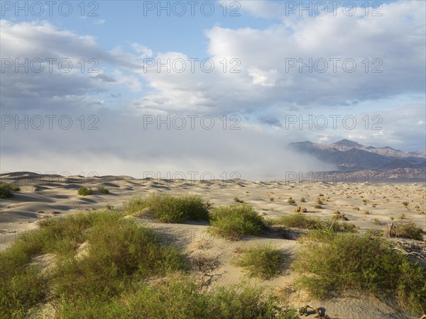 Mesquite Flat Sand Dunes