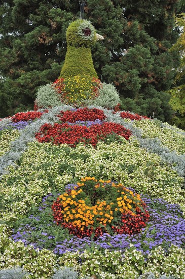 Peacock figur from different flowers