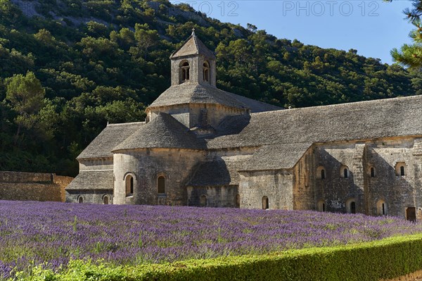 The Romanesque Cistercian Abbey of Notre Dame of Senanque