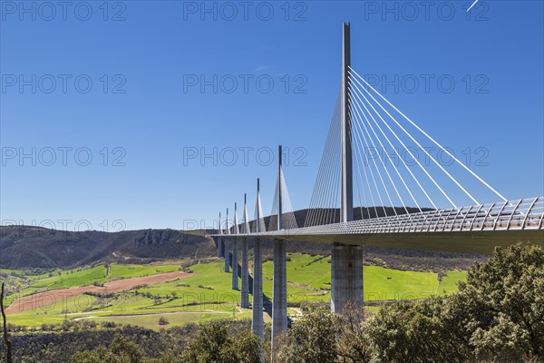 Millau Viaduct