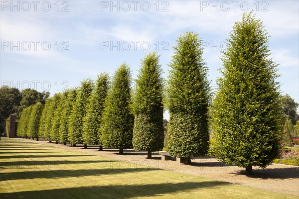 Terraced gardens