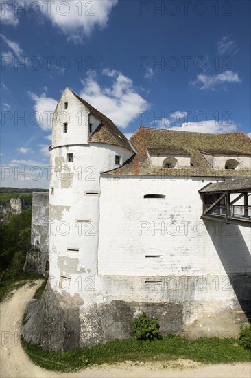 Wildenstein Castle