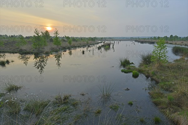 Sunrise in the Hahnenmoor nature reserve