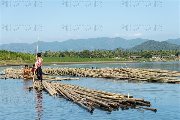 Bamboo transport