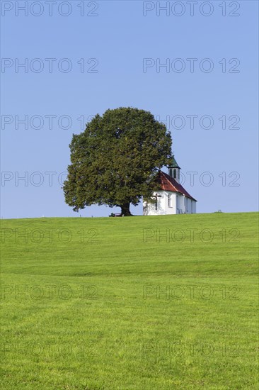 Heilig-Kreuz-Kapelle