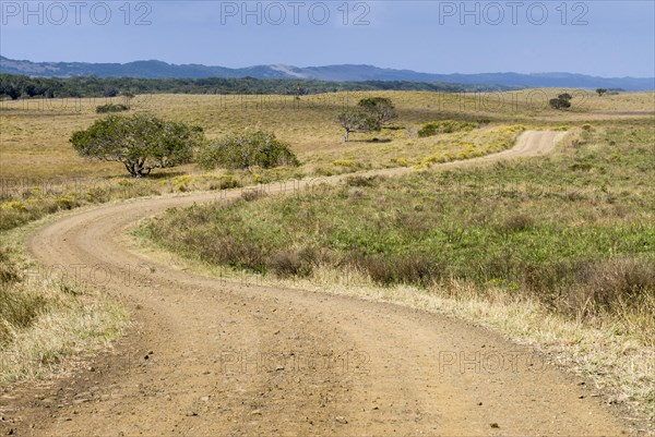 Gravel road through the countryside