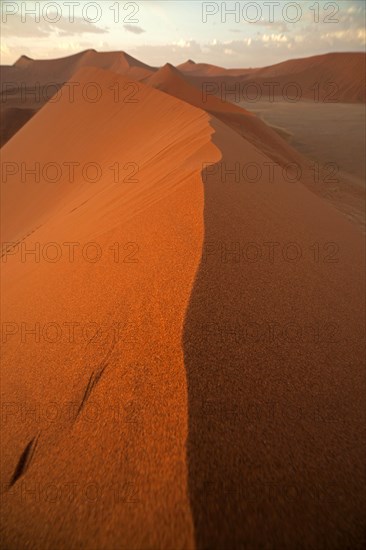 Sossusvlei dunes in the morning light
