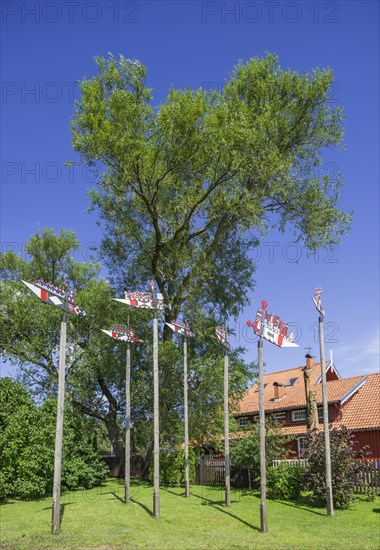 Curonian flags