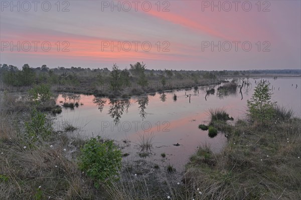 Sunrise in the Hahnenmoor nature reserve