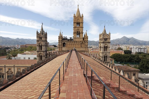 View from the roof