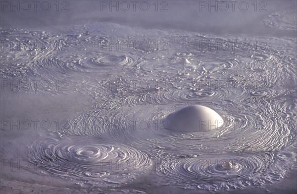 Mud bubble in the Sol de Manana geothermal field