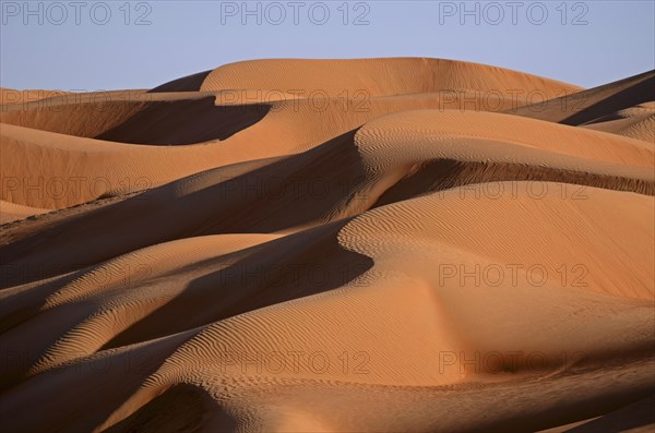 The sand dunes of the Wahiba Sands desert