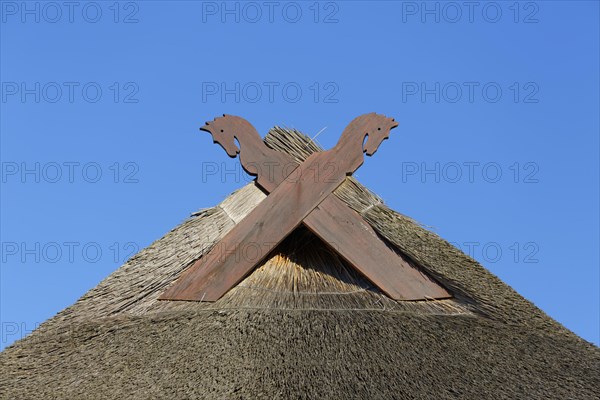 Thatched roof