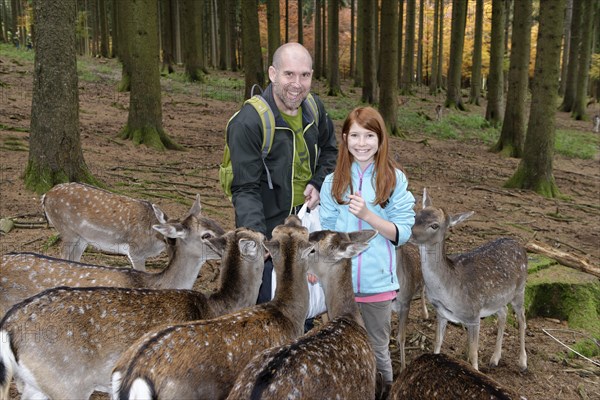 Father and daughter feeding deer