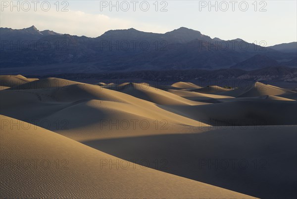 Mesquite Flat Sand Dunes in the early morning