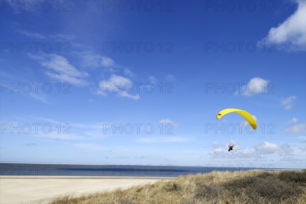 Paragliding above the beach