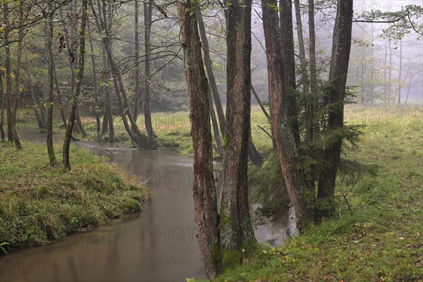 River in autumn in Kirnischtal valley