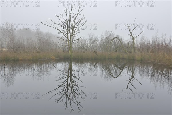 High moor in autumn