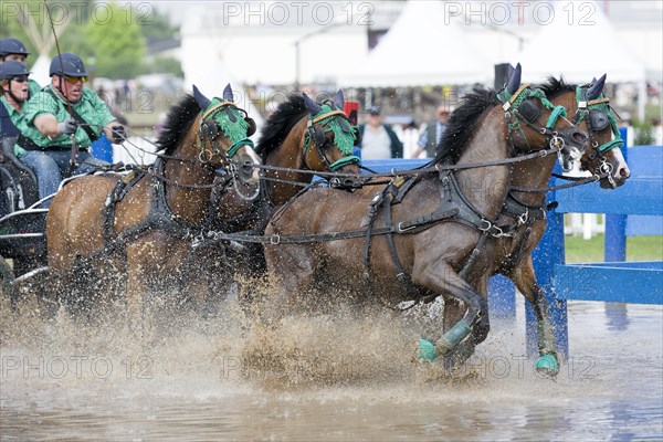 Horse-drawn carriage passing through a water ditch