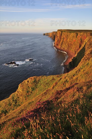 Steep coast near Duncansby Head in the morning light