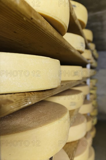 Maturation cellar for Alpine cheese