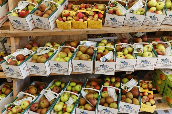 Apples in cardboard baskets