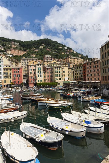 Harbour with fishing boats