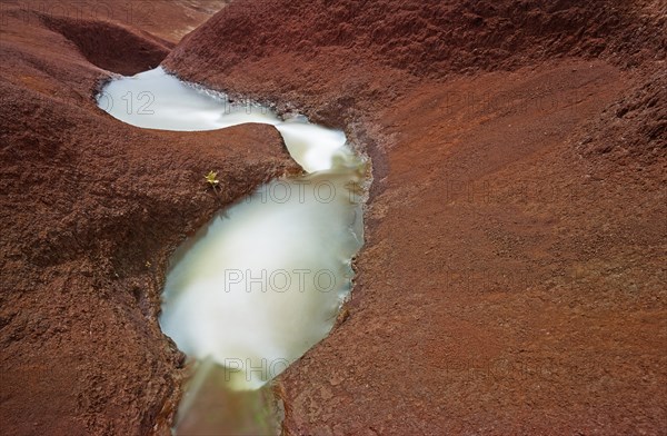 Stream at the Waimea Canyon