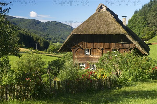 A thatched farmhouse and a cottage garden