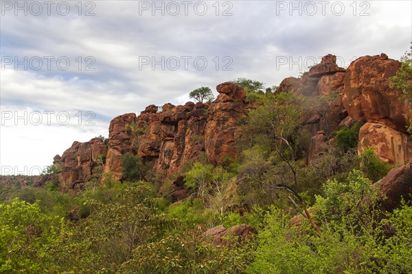 Waterberg Plateau