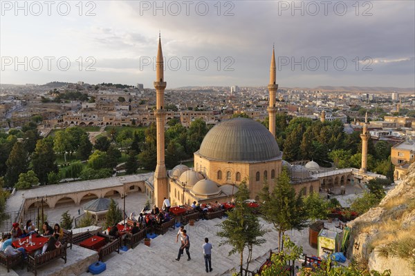 Tea garden above Dergah Mosque